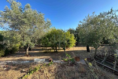 Ruïna a Ostuni, Brindisi, Ostuni - € 43.000 | Ref: Lamia Vite - foto 24